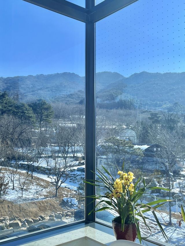 백운호수 카페_🤍호야스🤍