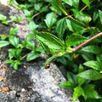香港好去處-西環泳棚