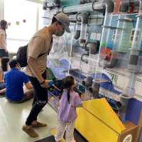 最不推薦的室內海景Playhouse