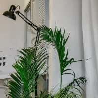 3fl.office cafe