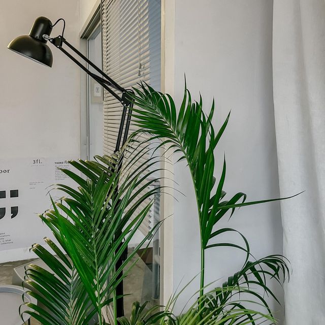 3fl.office cafe