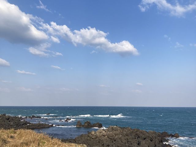 #제주도 도두봉. 바다를 보며 걷는 산 속 공원