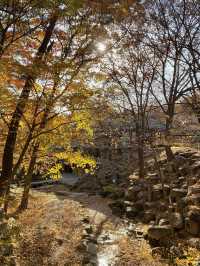 단풍이 아름다운 동화사 🍁🍂