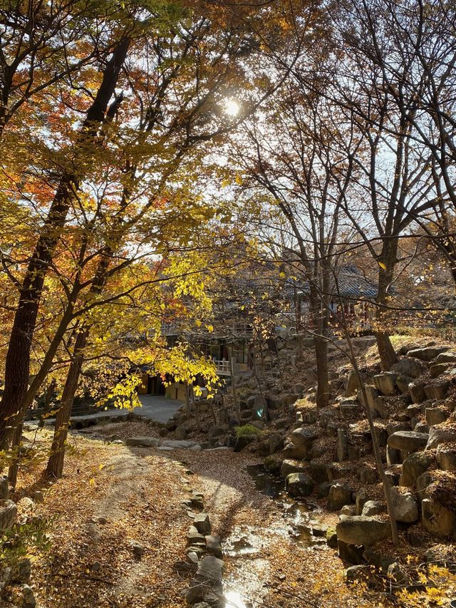 단풍이 아름다운 동화사 🍁🍂