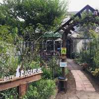 【東京・小平】まるで森の中のような癒しカフェ🌳