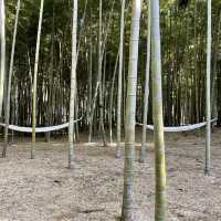 【栃木】幻想的な竹の世界「若竹の社 若山農場」