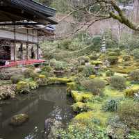 【京都】四季を楽しむ庭園　三千院
