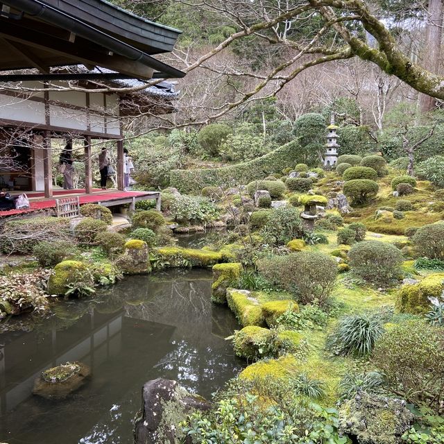 【京都】四季を楽しむ庭園　三千院