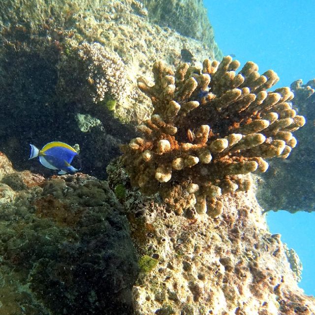 Koh Kradan, Trang