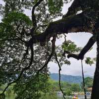 Taiping Lake