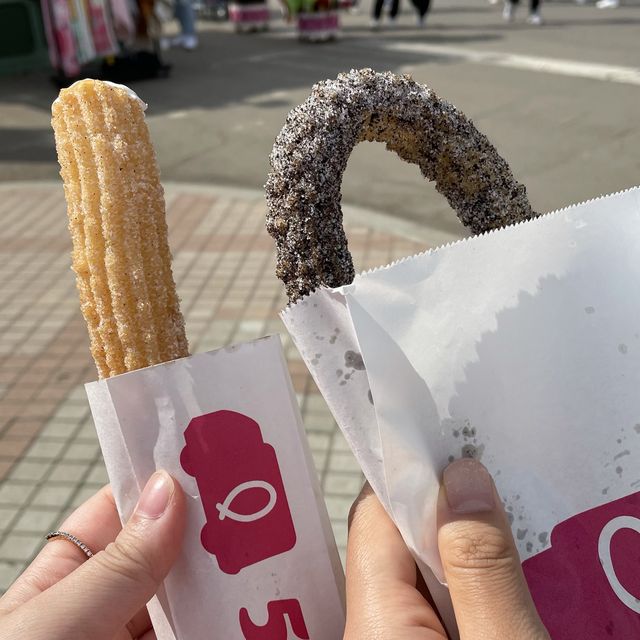 환상의 나라 에버랜드🎡그리고 튤립축제까지🌷