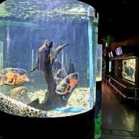 Phuket aquarium