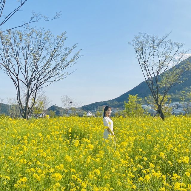 꽃순이들이라면 무조건 가야하는 필수코스🥰🌸