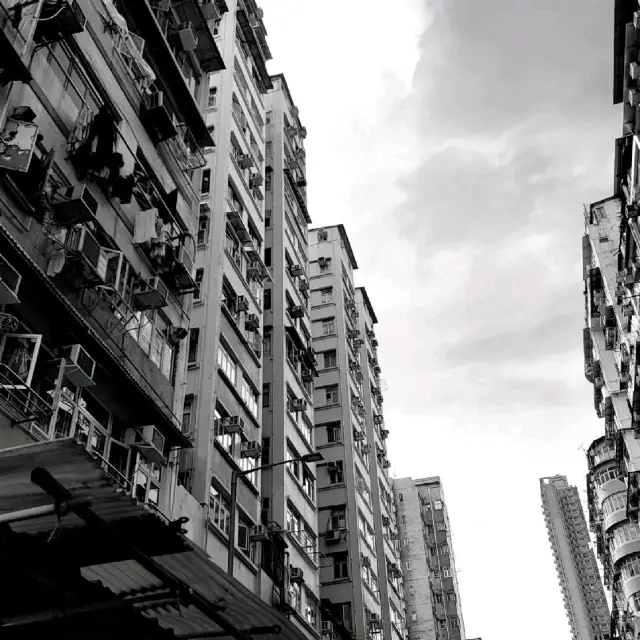 없는거 빼고 다 있는 삼쉐이포(Sham Shui Po)