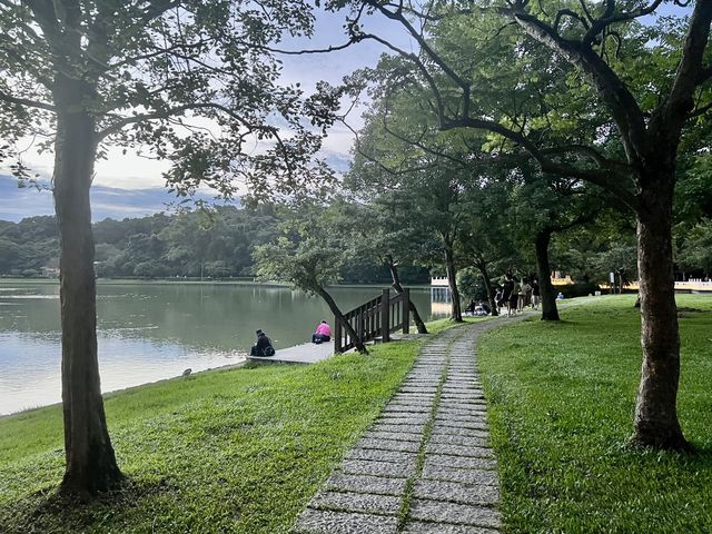 台北碧湖公園散步去｜捷運可以到～還可以順便登頂喔