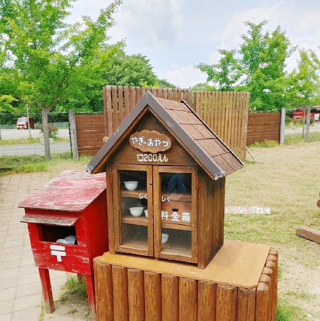 大型犬と山羊・ひつじにふれあえる！姫路セントラルパーク