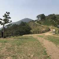 가볍게 등산하기 좋은 코스 "계양산"