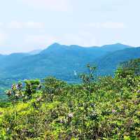 老虎騎石、斜樓嶺墩、大山峒、石屋山