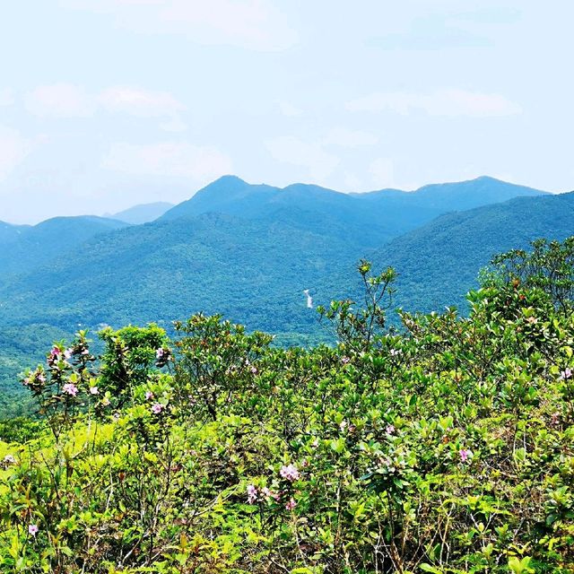 老虎騎石、斜樓嶺墩、大山峒、石屋山