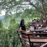 คาเฟ่บนต้นไม้ใหญ่ @the giant เชียงใหม่