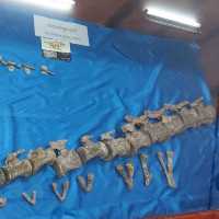 The Savannakhet Dinosaur Museum