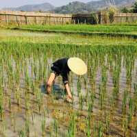 Visiting the Living land organic farm