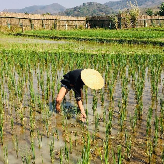Visiting the Living land organic farm