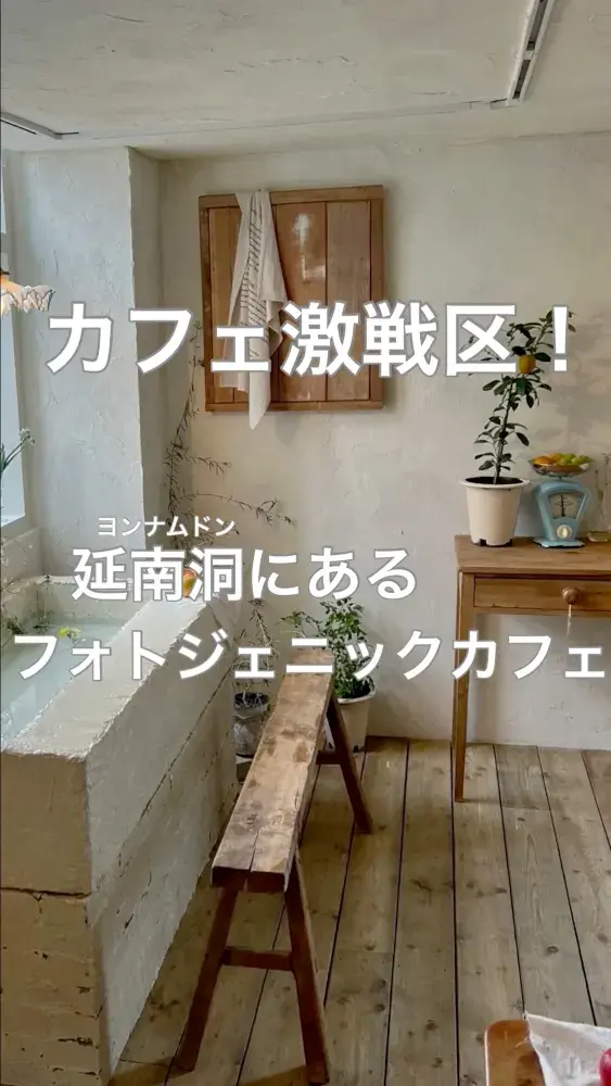 韓国/ソウル【延南洞】白ベースの写真映えカフェ🤍
