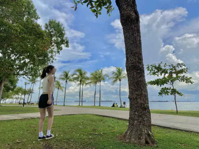 싱가포르 도심 근처 조깅 핫플 🌴이스트 코스트 파크🌴