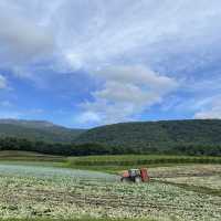 【群馬県】嬬恋村に秋の訪れ🥬🌸