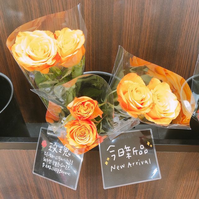💐🪴發現美好UNIQLO Miramar Store UNIQLO 美麗華店🍀🌵