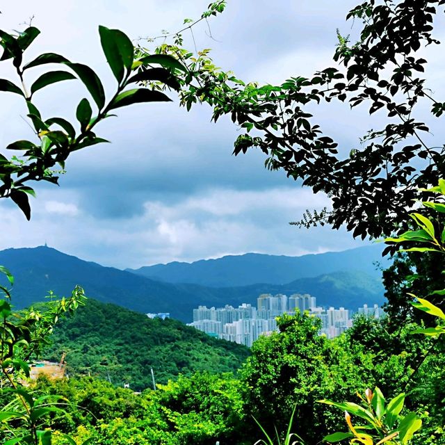 社山