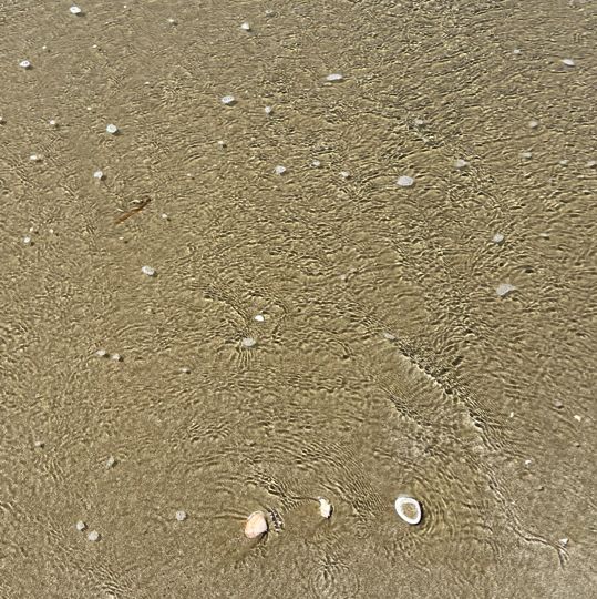 태안 여행 , 할머니 할아버지바위에서 인생샷 찍기 (꽃지해변)