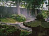 Magokoro Teahouse เชียงใหม่