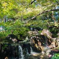 名古屋 楓葉下 的白鳥庭園🍁🍁