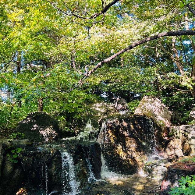 名古屋 楓葉下 的白鳥庭園🍁🍁