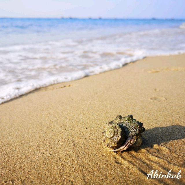 🏖️ครั้งหนึ่งมีโอกาสได้มาเยือน @หาดพลา