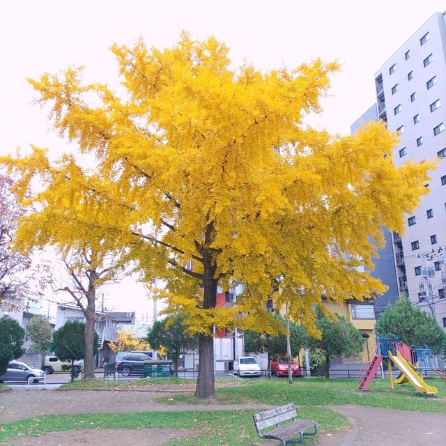岩手県！町の中の岩手山神社