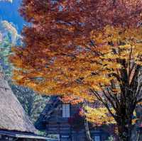 ชิราคาวาโกะ Shirakawa-go เมืองมรดกโลก