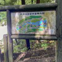 東洋のナイアガラ『吹割の滝』