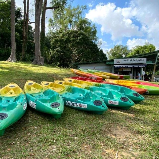 MacRitchie Reservoir