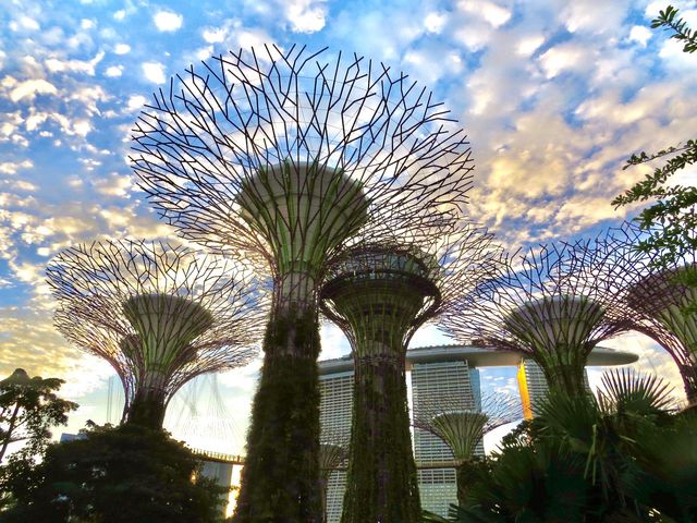 新加坡景點-濱海灣花園