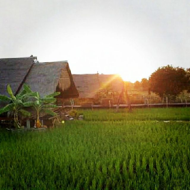 บ้านไร่ปลายนา 🏡