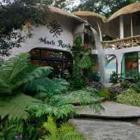 ค่าเฟ่สไตล์สวนป่า กลางเมืองเชียงใหม่