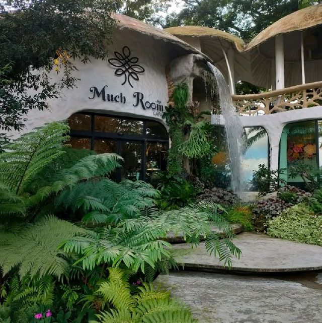 ค่าเฟ่สไตล์สวนป่า กลางเมืองเชียงใหม่