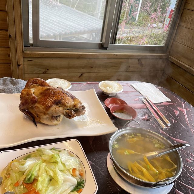 【台灣桃園 光明農場馬告磚窯雞】 櫻花樹下的烤雞名店