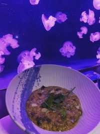 望住水母食野愛不愛