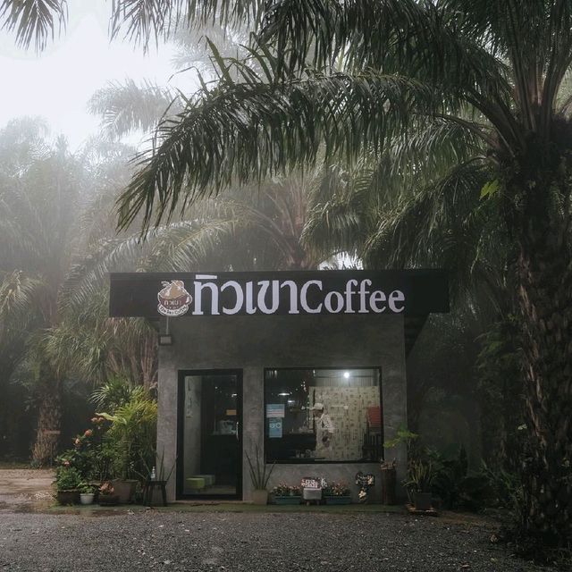 ทิวเขา Coffee คาเฟ่ ที่วิวสวย และปังที่สุดอีกแห่ง 