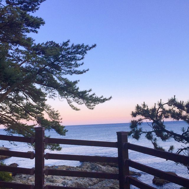 부산 가볼만한 곳 송정해수욕장 🏖