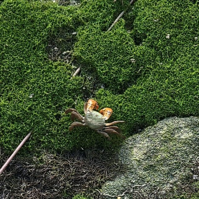 被遺忘的東涌舊碼頭馬灣涌🗺